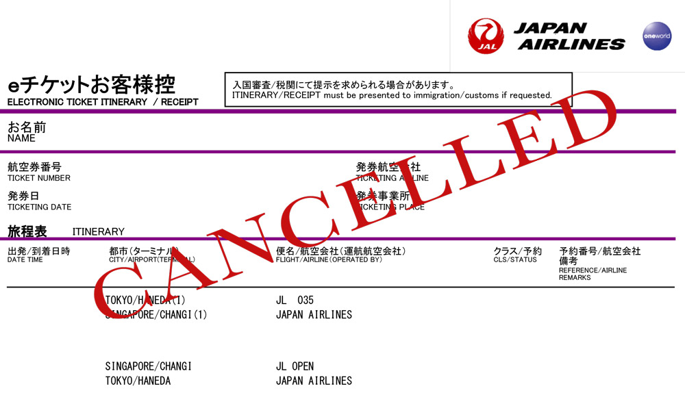 航空券サンプル