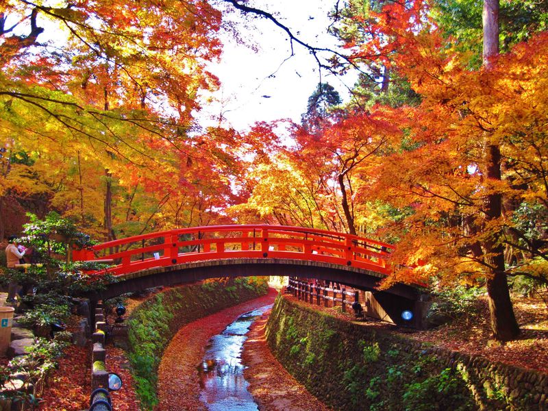 京都 北野天満宮 もみじ苑 昼間の様子