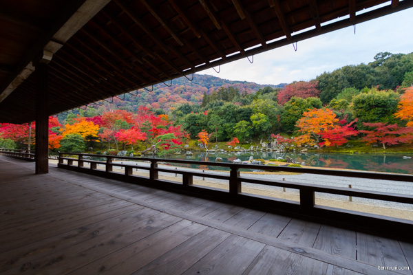 京都 天龍寺 写真