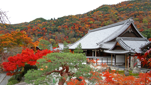 京都 天龍寺 写真